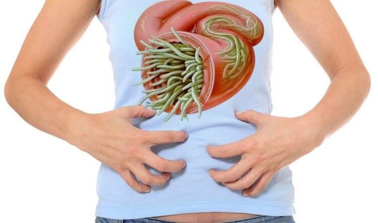 Cómo afectan los parásitos al cuerpo.