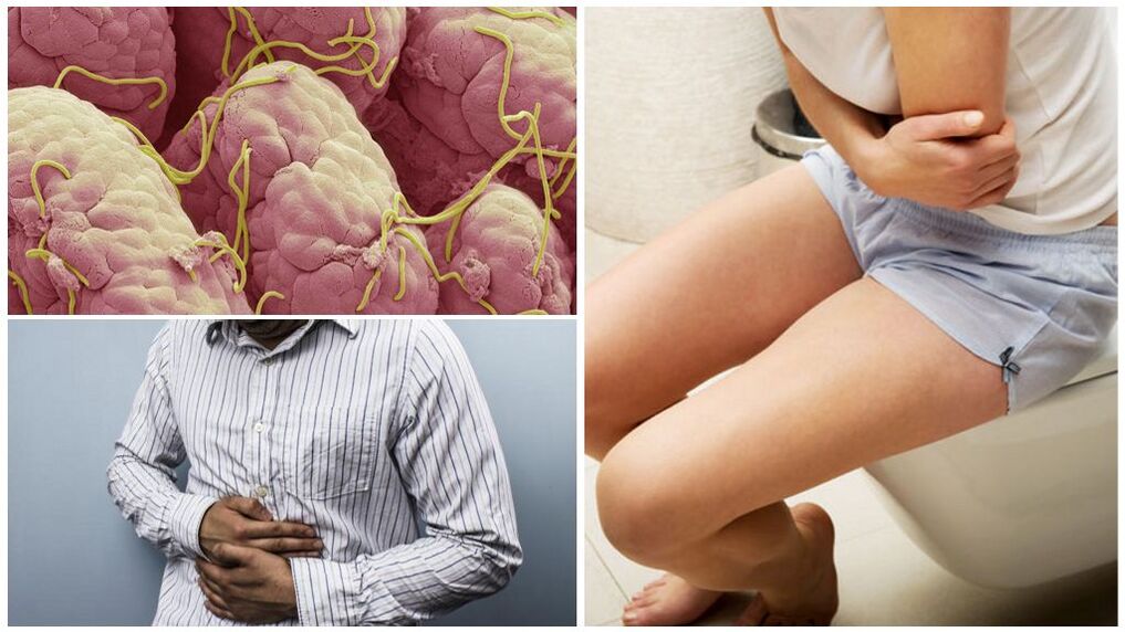 gusanos en el cuerpo humano