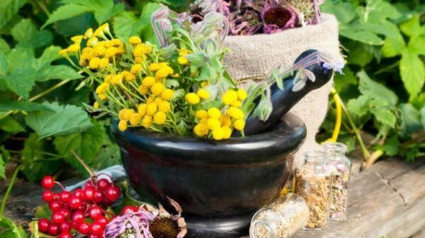 Decocciones de plantas