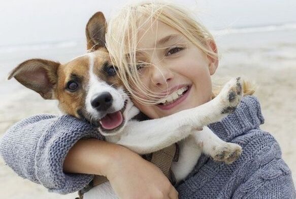 infección por parásitos de un perro