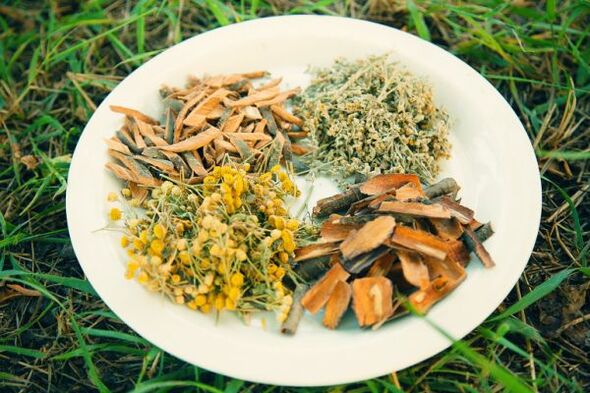 remedios caseros para gusanos y parásitos en humanos