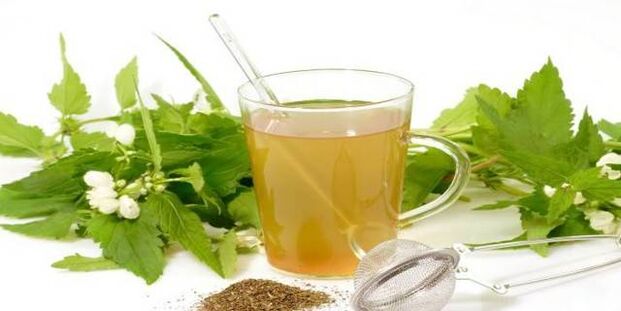 tintura de hierbas contra los parásitos