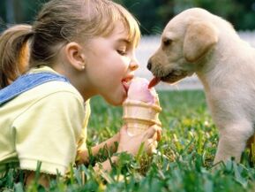 Niña come helado con perro y se infecta de parásitos